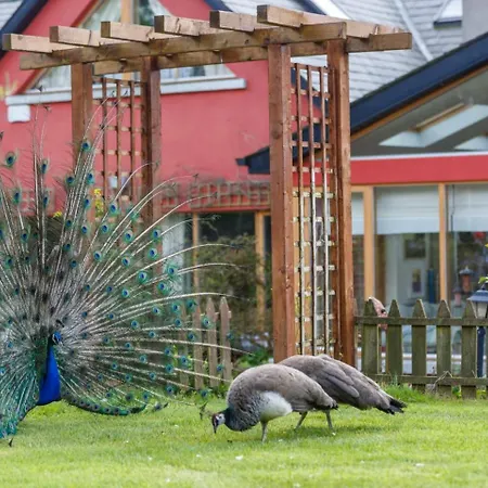 Cherrygarth * White Hall