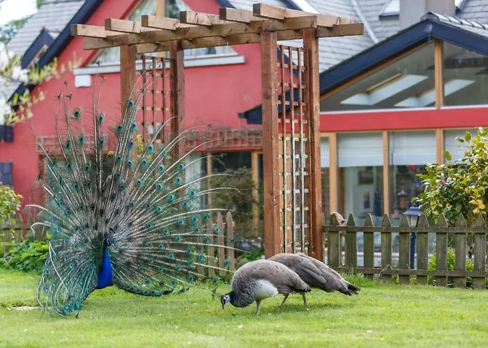 Cherrygarth * White Hall